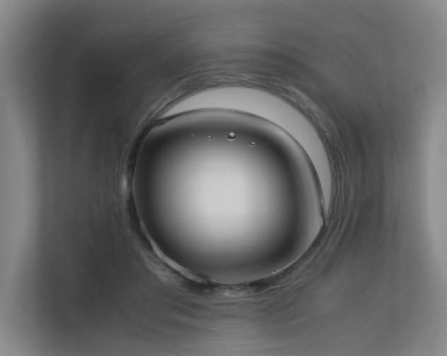 X0000110770405200906151330