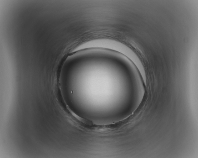 X0000110770407200906151330