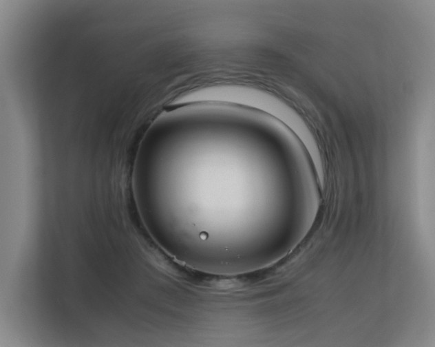 X0000110770409200906151330