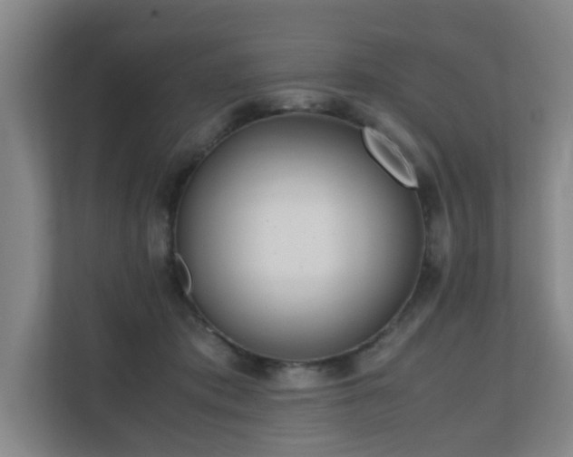 X0000110770413200906151330