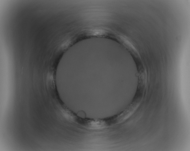 X0000110770415200906151330