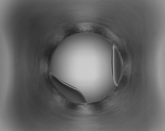 X0000110770417200906151329