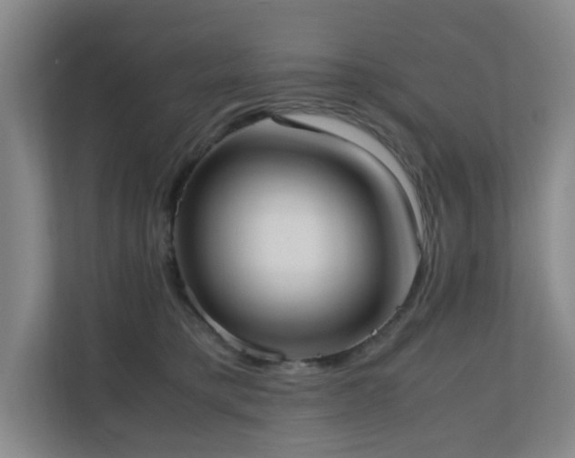 X0000110770421200906151329