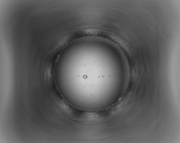 X0000110770424200906151329