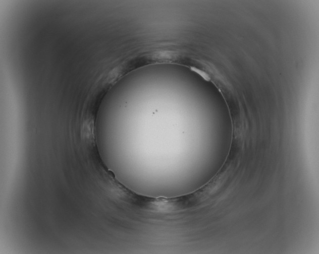 X0000110770425200906151329