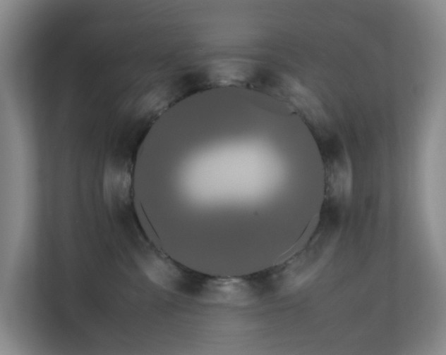 X0000110770427200906151329