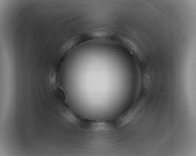 X0000110770428200906151329