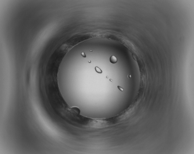 X0000110770429200906151329