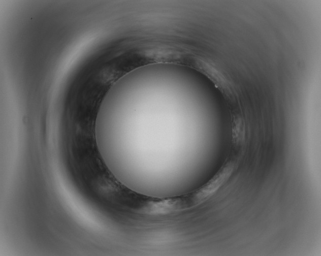 X0000110770430200906151329