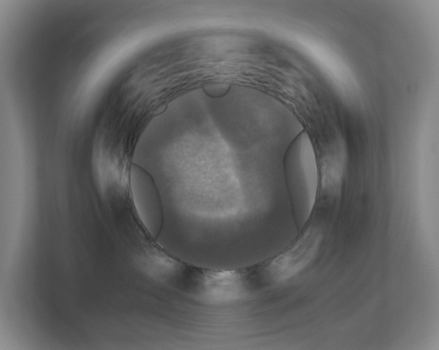 X0000110770431200906151329