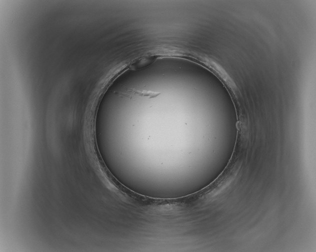 X0000110770433200906151329