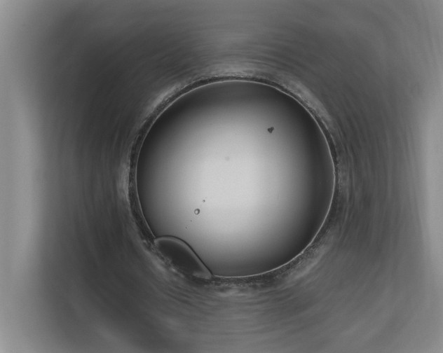 X0000110770434200906151329