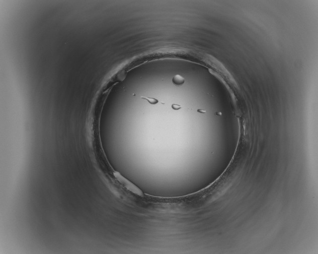 X0000110770436200906151329