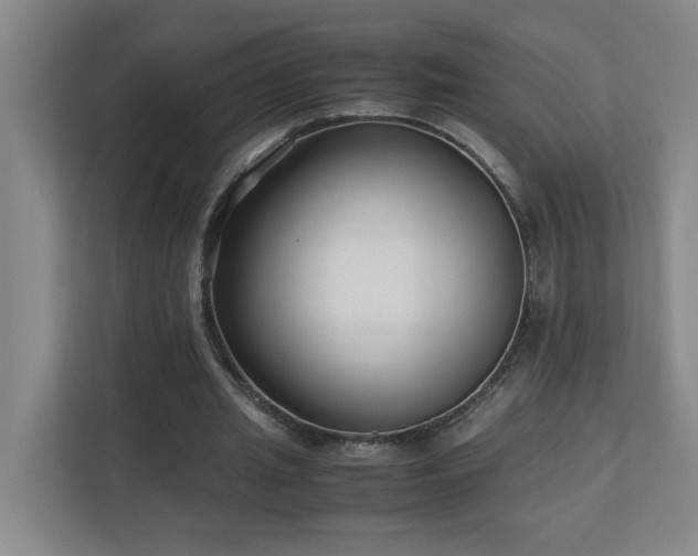 X0000110770437200906151329