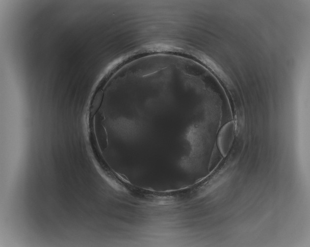 X0000110770438200906151329