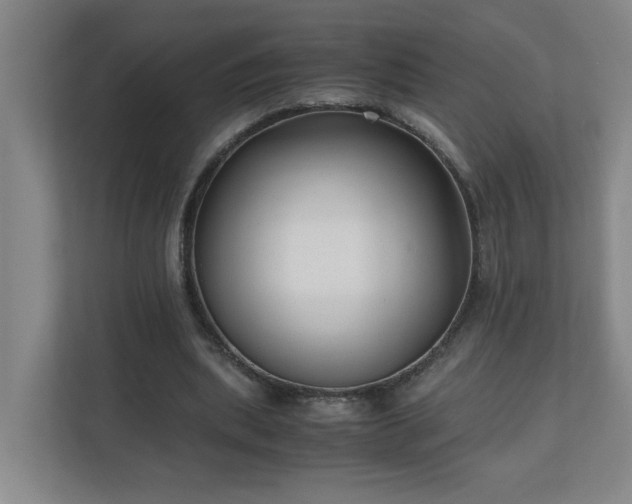 X0000110770439200906151329