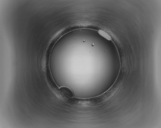 X0000110770440200906151329