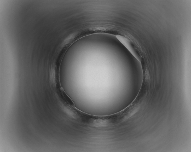 X0000110770444200906151329