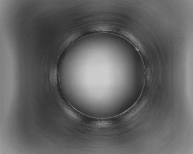 X0000110770445200906151329