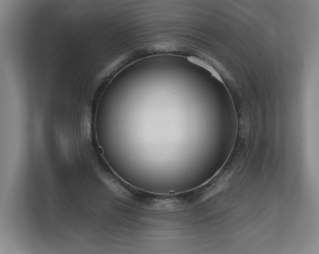 X0000110770446200906151329