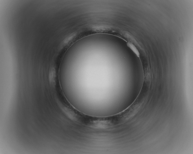 X0000110770448200906151329