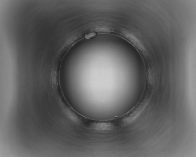 X0000110770449200906151329