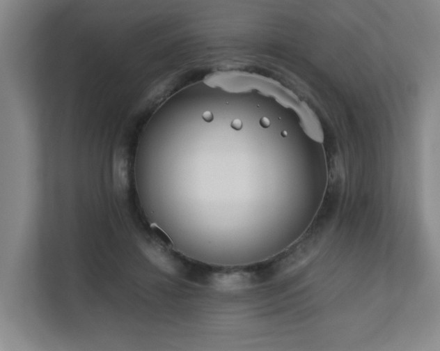 X0000110770452200906151329