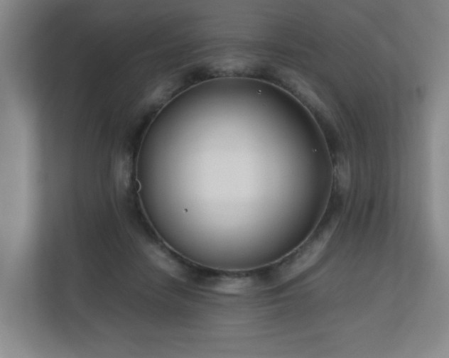 X0000110770458200906151329