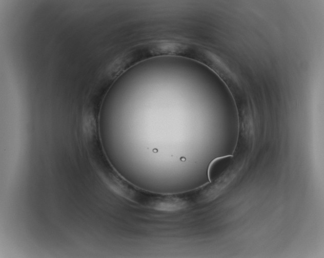 X0000110770459200906151329