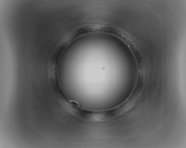 X0000110770462200906151329