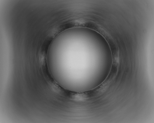 X0000110770468200906151329