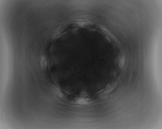 X0000110770471200906151329