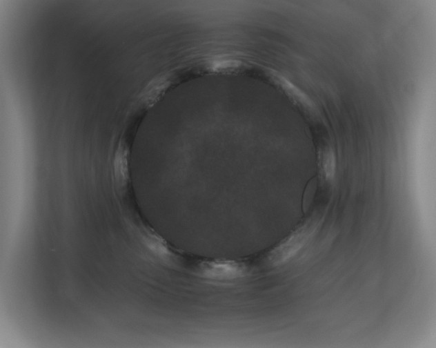 X0000110770475200906151329