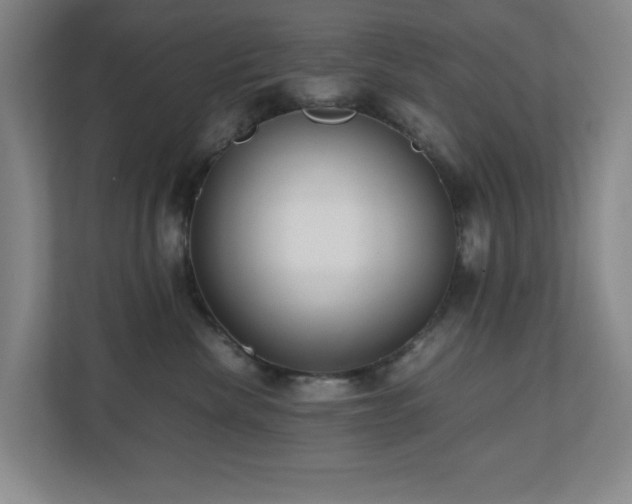 X0000110770476200906151329