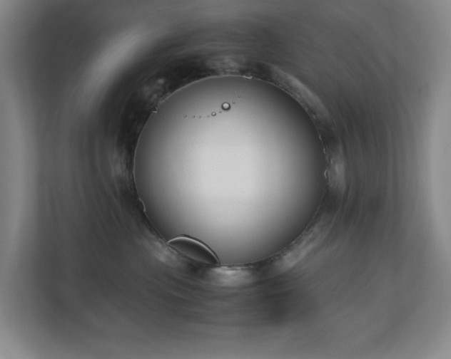 X0000110770477200906151329