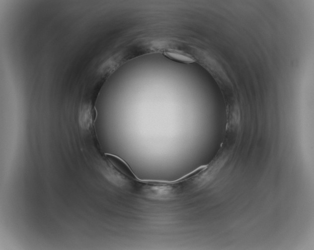 X0000110770478200906151329