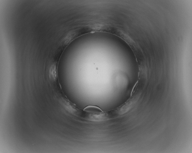 X0000110770479200906151329