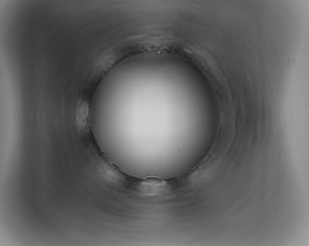 X0000110770480200906151329