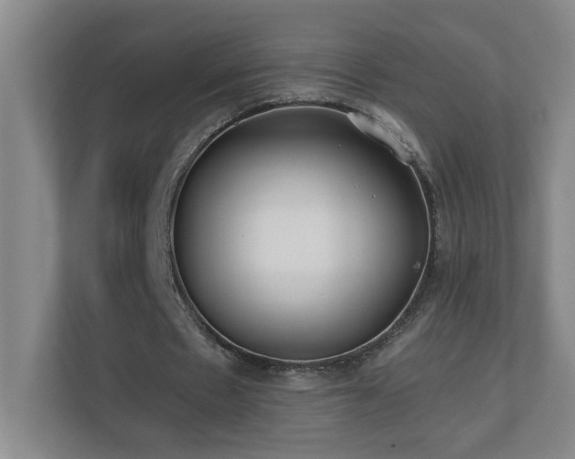 X0000110770481200906151329