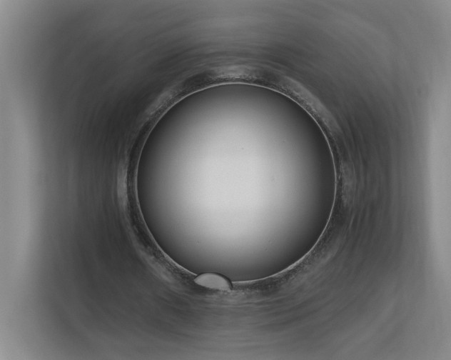 X0000110770482200906151329