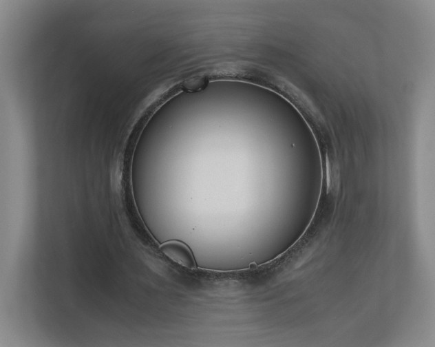 X0000110770483200906151329