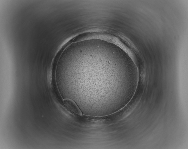 X0000110770484200906151329