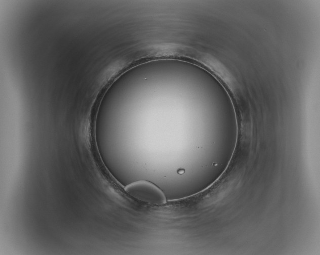 X0000110770485200906151329