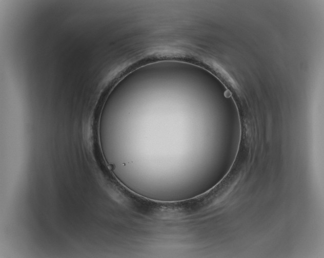 X0000110770487200906151329