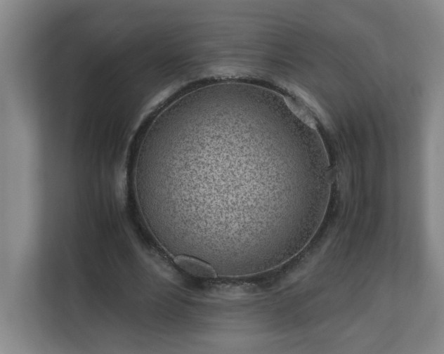 X0000110770488200906151329