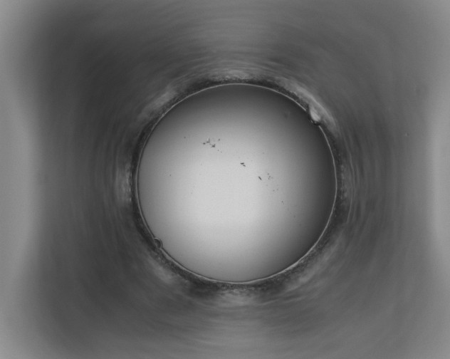 X0000110770489200906151329