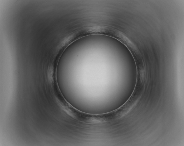 X0000110770490200906151329