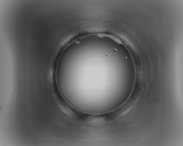 X0000110770491200906151329