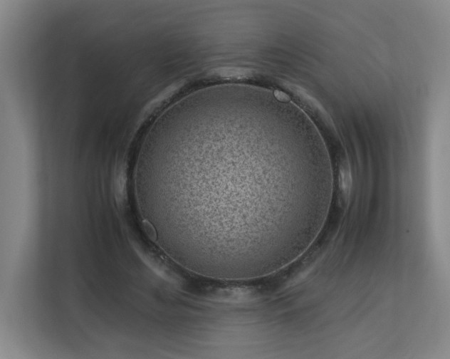 X0000110770492200906151329