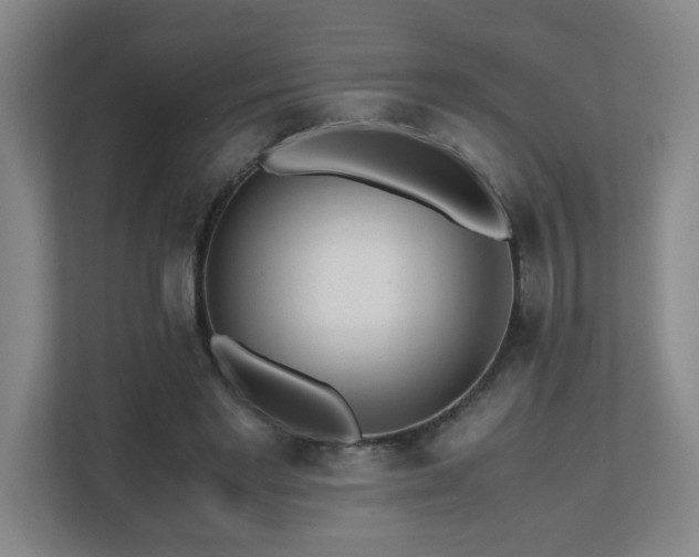 X0000110770493200906151328